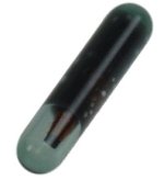 Transpondér (immo čip) typ 48 - Kliknutím na obrázok zatvorte -